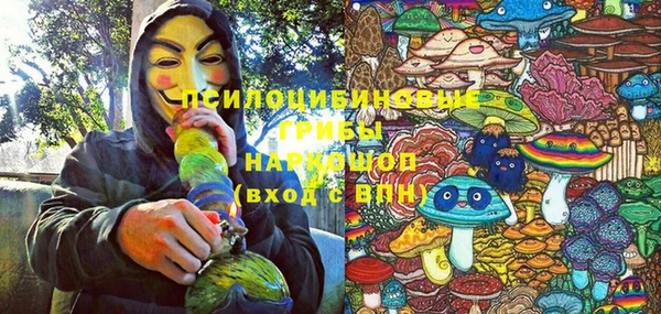 экстази Богородск